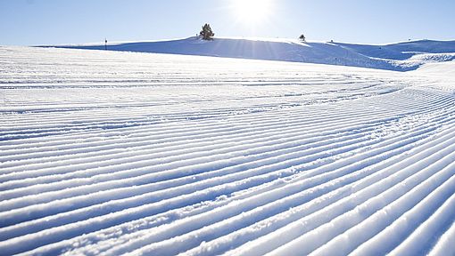 Le fart fait la différence : Prépare tes skis pour l’événement.